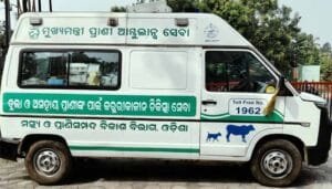 1962 Ambulance